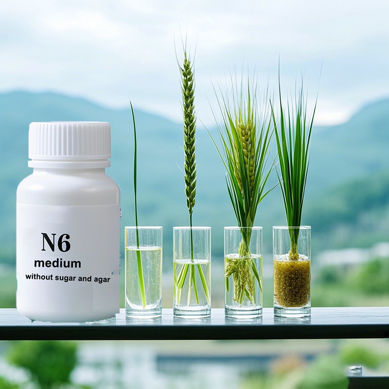 N6 Medium Wtihout Sugar Or Aga - Agar Tissue Culture 리뷰 및 가격