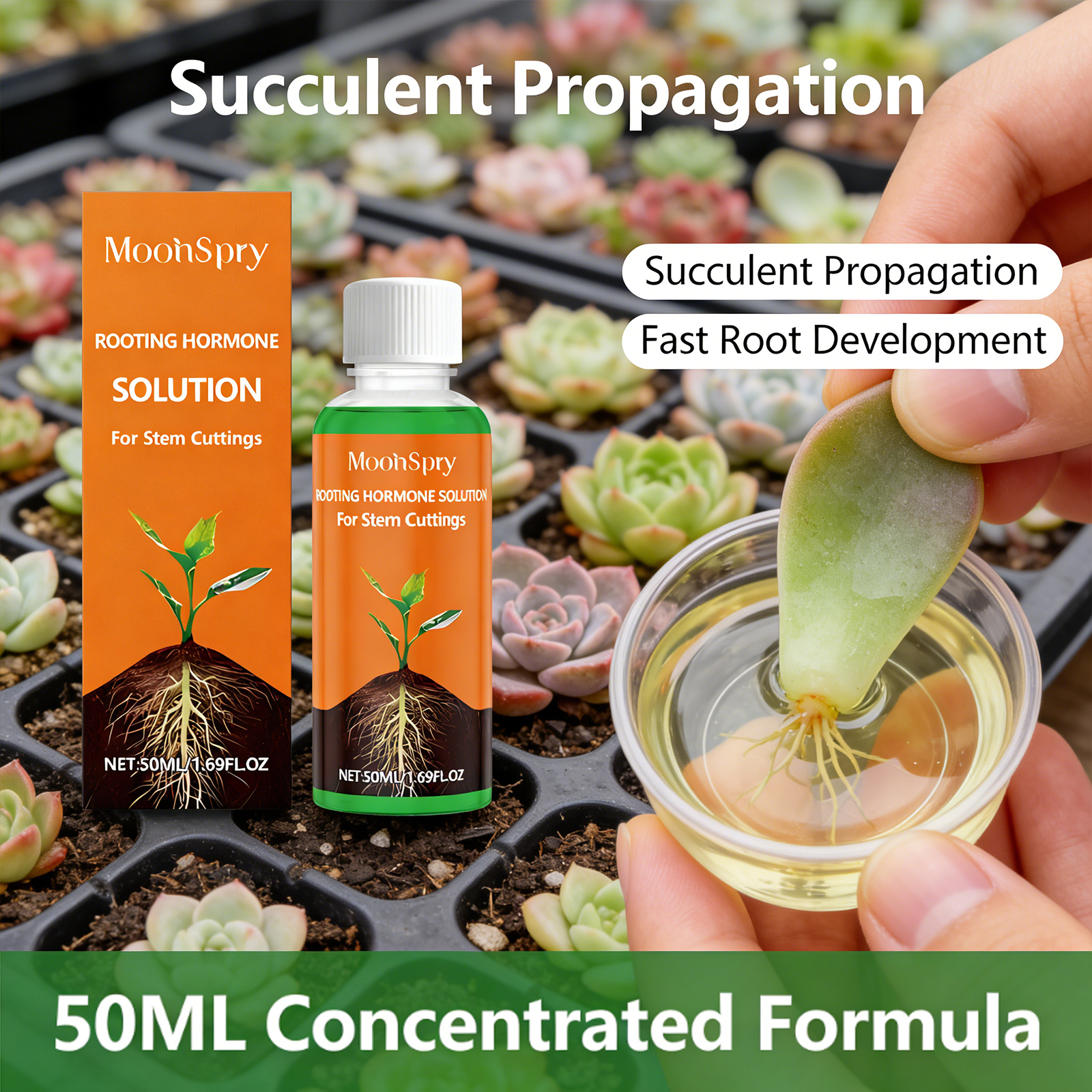 Plant Rooting Agent Effectivel - Root Stimulator Liquid 리뷰 및 가격