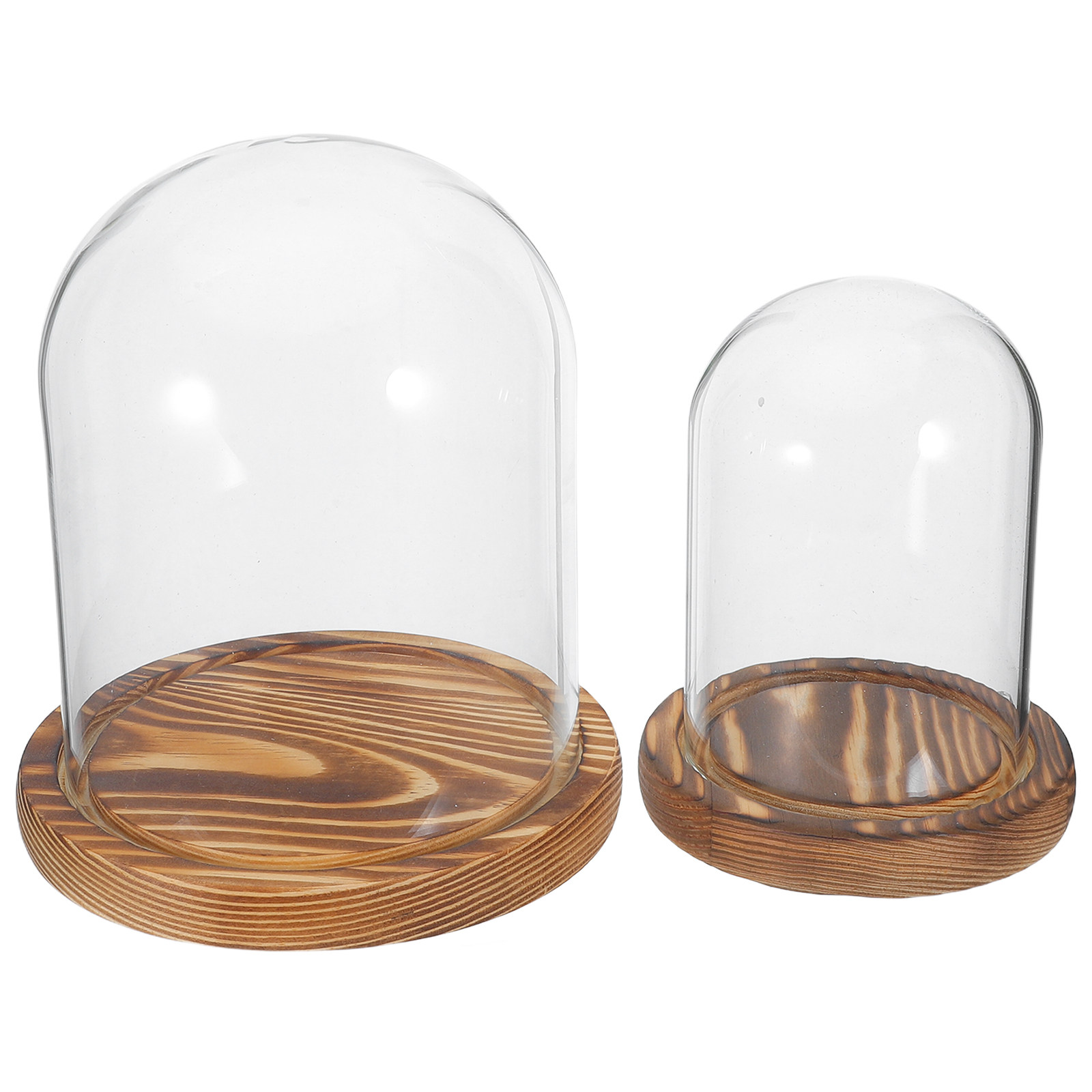 2Sets Clear Glass Display Dome - Plastic Dome Clear 리뷰 및 가격
