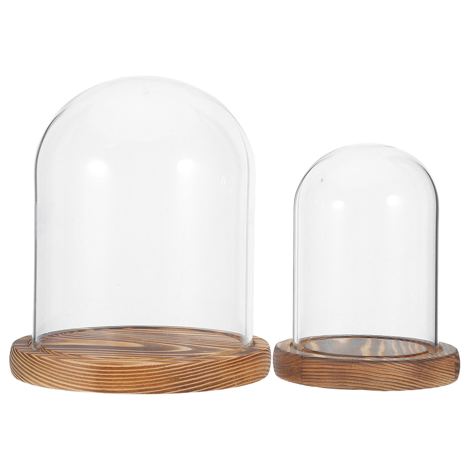 2Sets Clear Glass Display Dome - Plastic Dome Clear 리뷰 및 가격