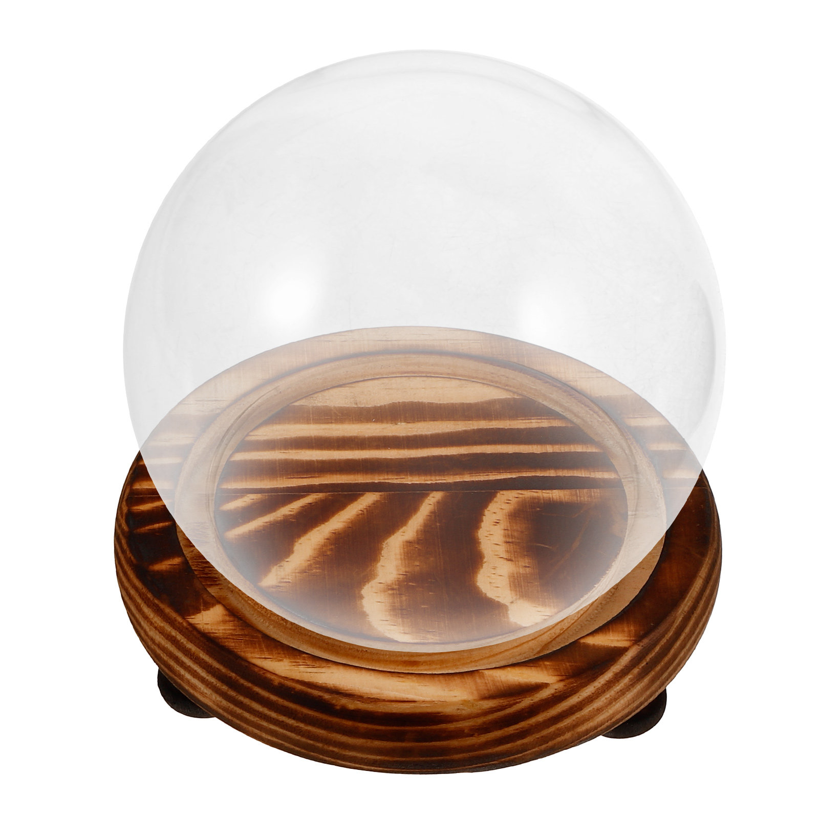 Glass Dome Display Case with W - Plastic Dome Clear 리뷰 및 가격