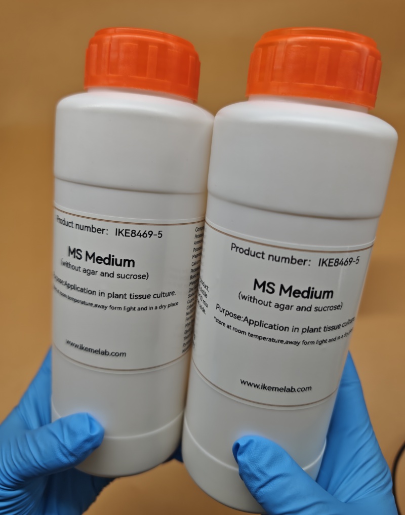 IKEME Lab MS Medium 250g Witho - Agar Tissue Culture 리뷰 및 가격