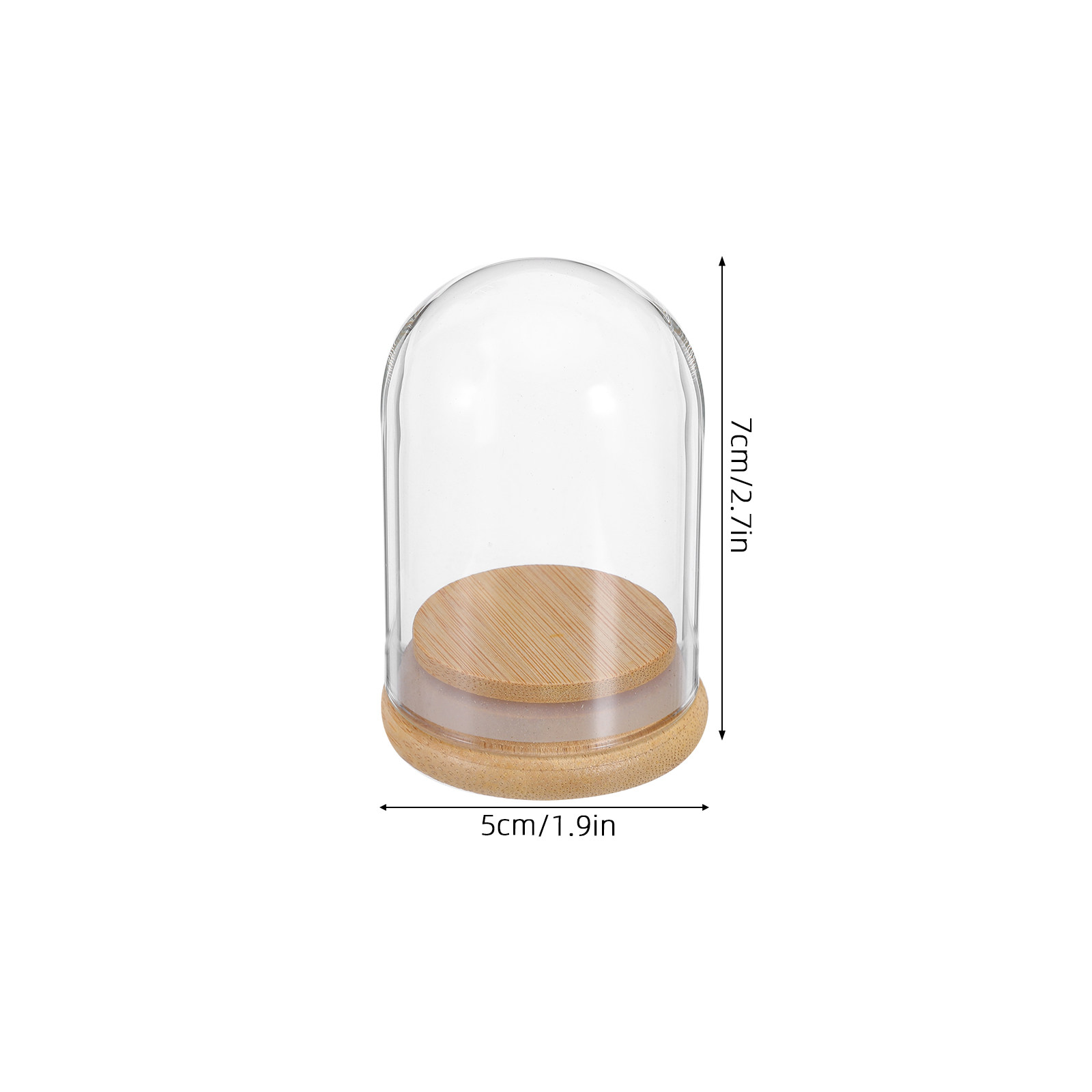 6Pcs Clear Glass Cloche Dome D - Plastic Dome Clear 리뷰 및 가격