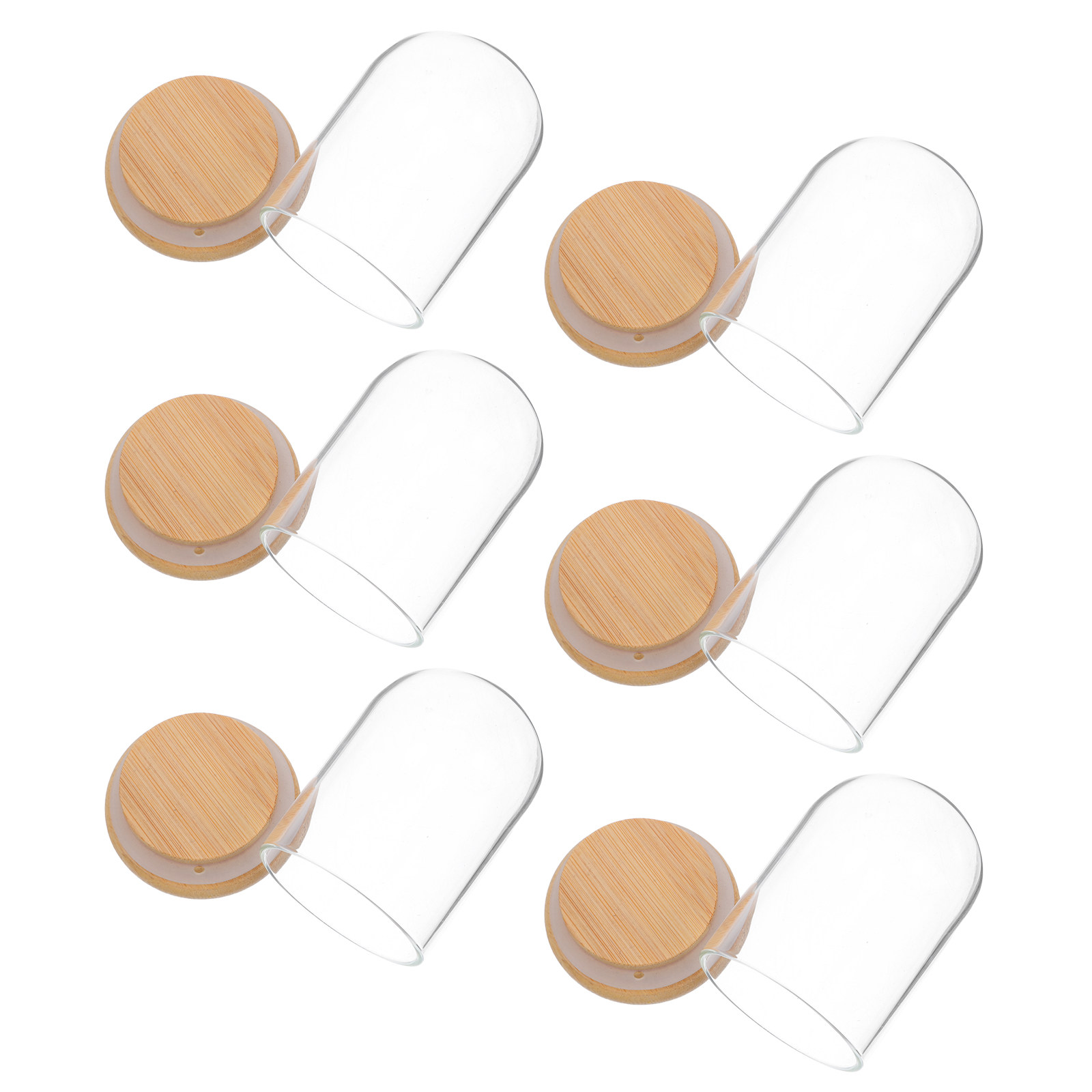 6Pcs Clear Glass Cloche Dome D - Plastic Dome Clear 리뷰 및 가격