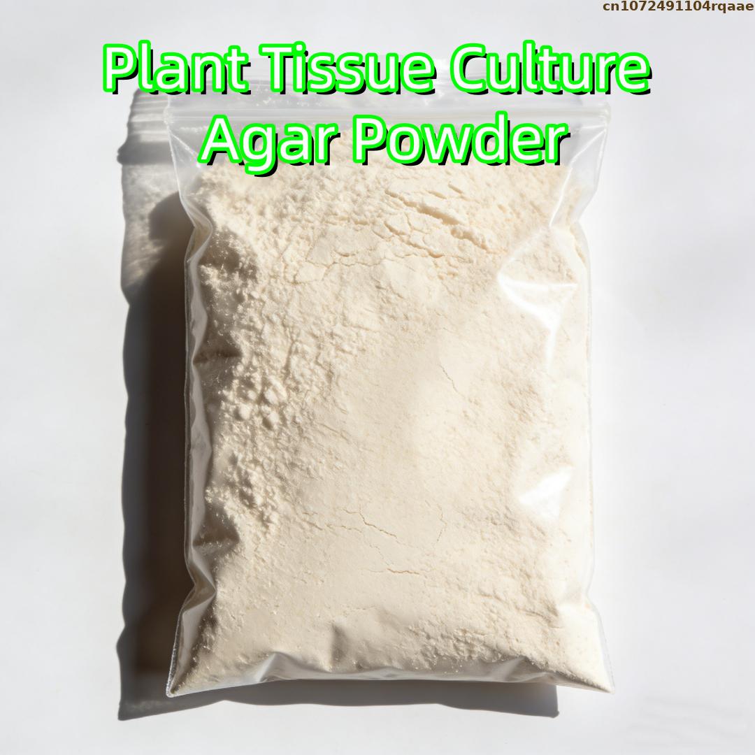 Premium Plant Tissue Culture A - Agar Tissue Culture 리뷰 및 가격