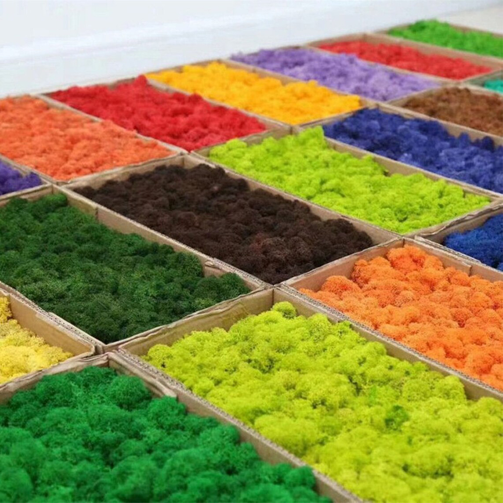 Artificial Green Plants Mini L - Sphagnum Moss Dry 리뷰 및 가격