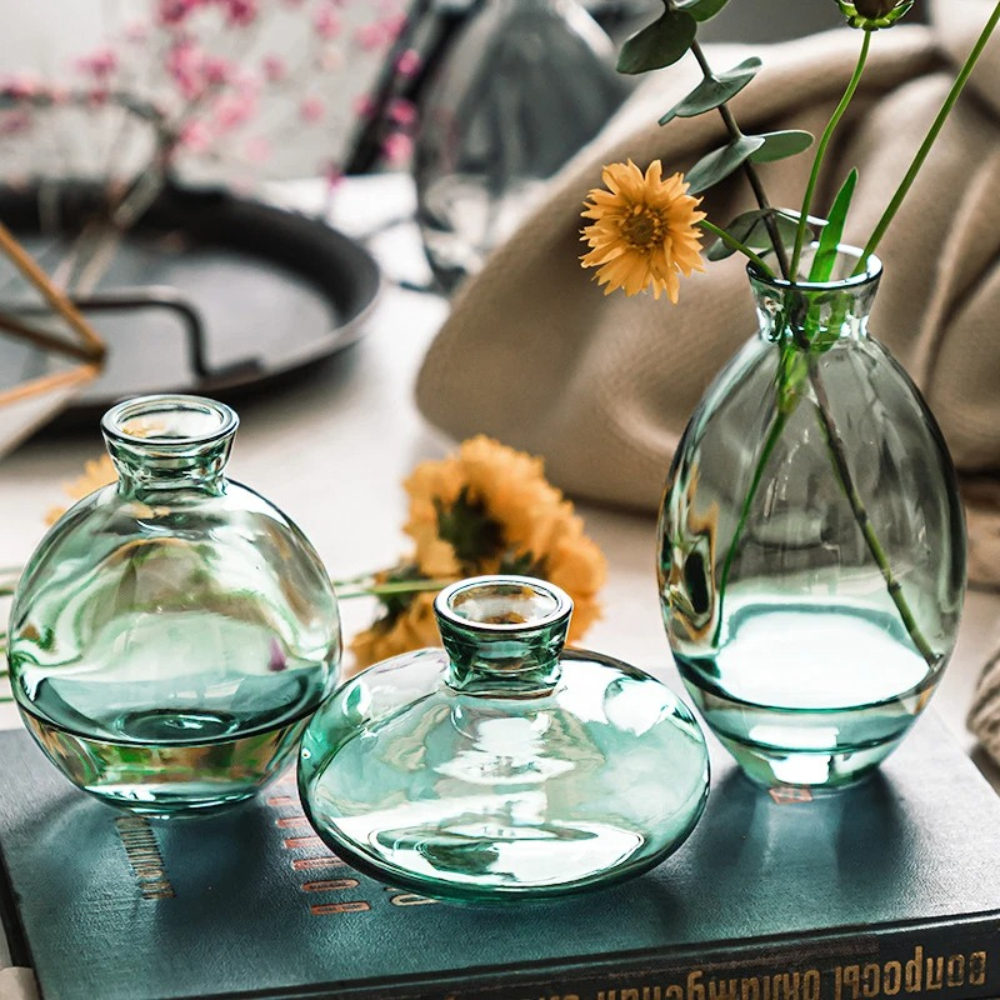 Nordic Transparent Glass Vase  - Propagation Station Vase 리뷰 및 가격
