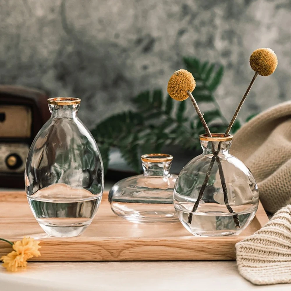Nordic Transparent Glass Vase  - Propagation Station Vase 리뷰 및 가격