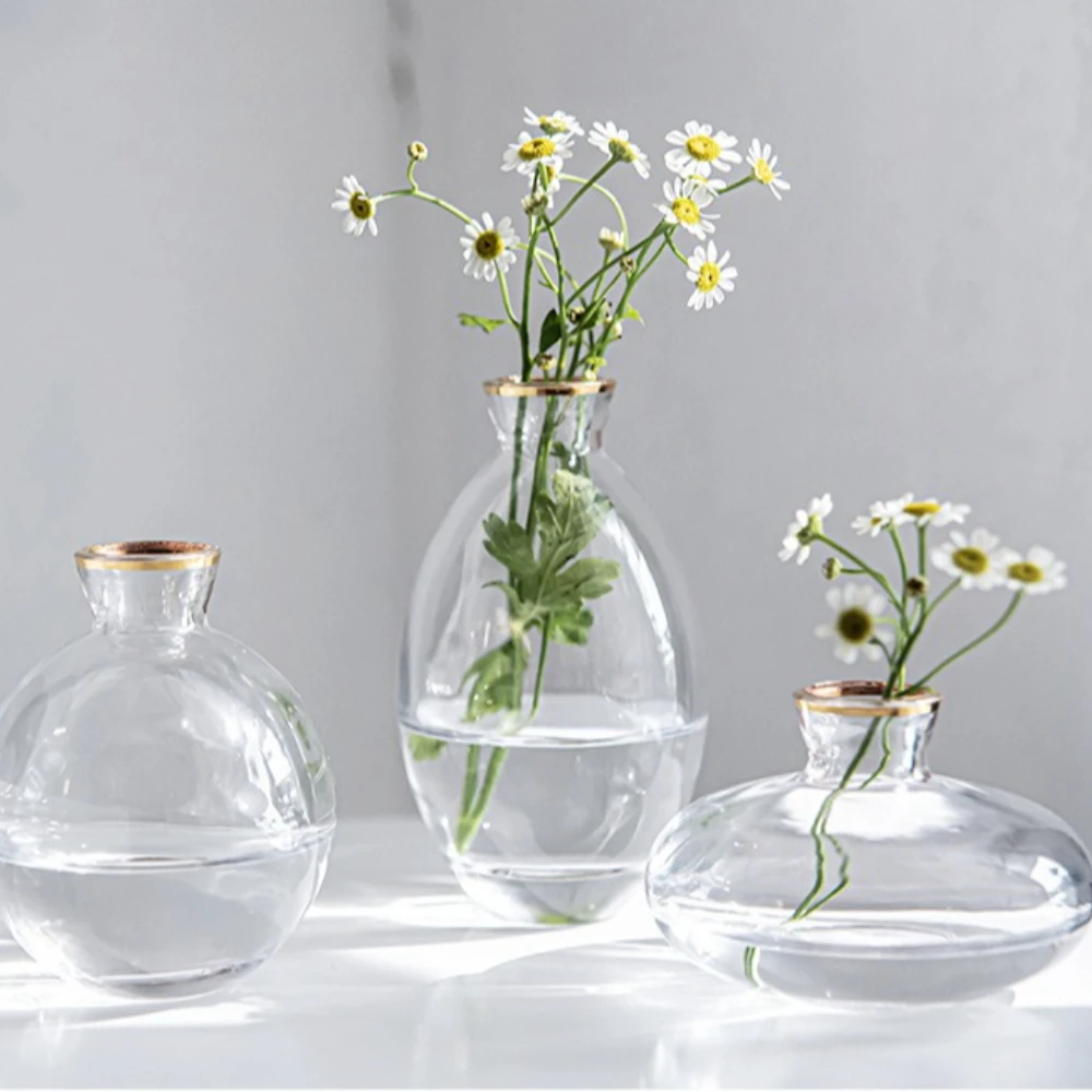 Nordic Transparent Glass Vase  - Propagation Station Vase 리뷰 및 가격