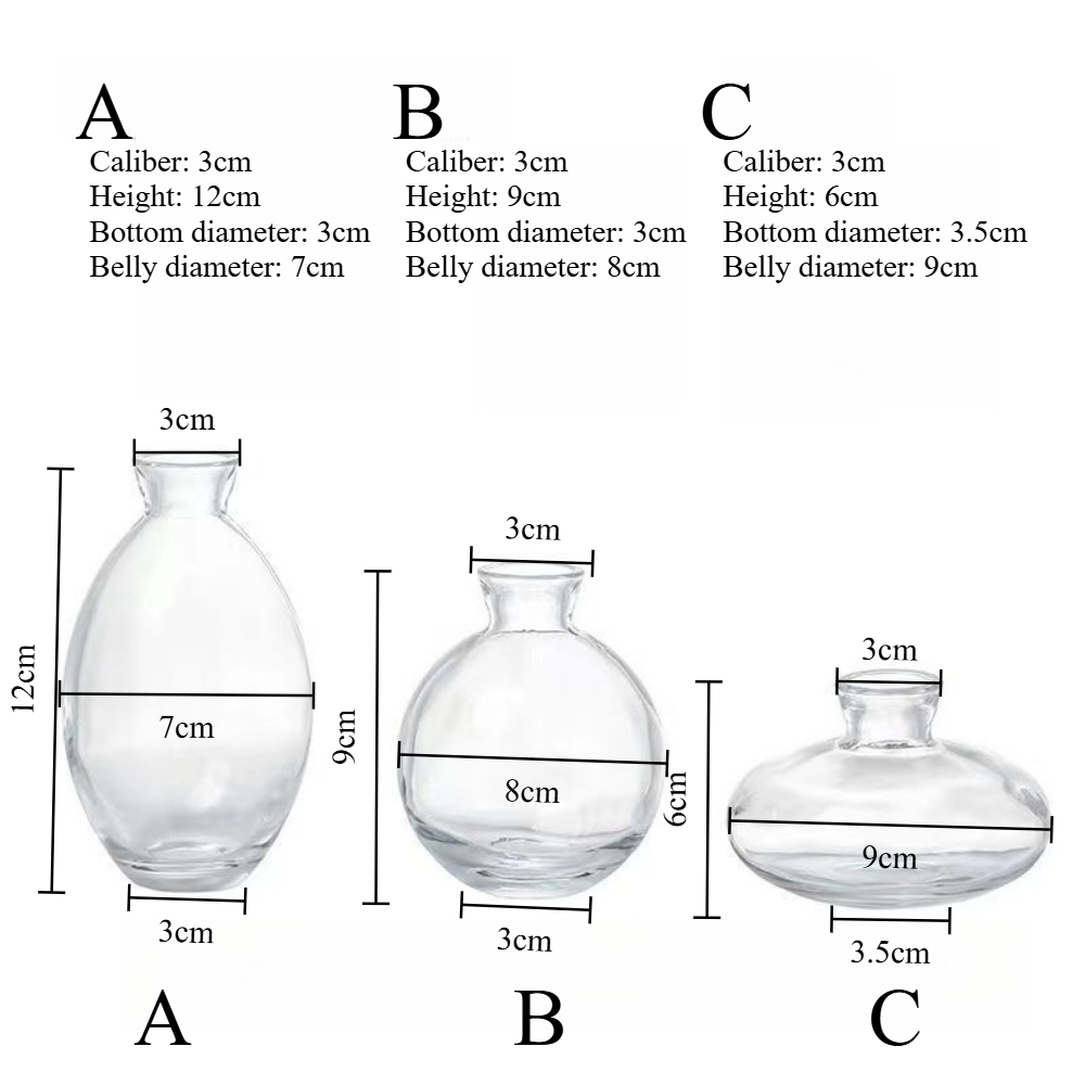 Nordic Transparent Glass Vase  - Propagation Station Vase 리뷰 및 가격
