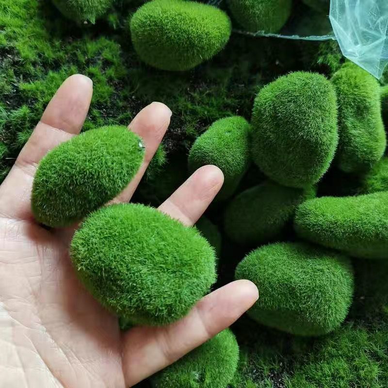 Artificial Green Moss Stones f - Sphagnum Moss Dry 리뷰 및 가격