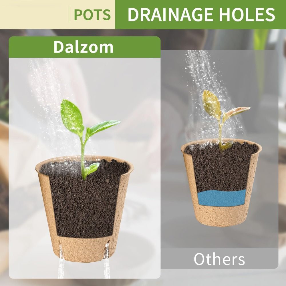 50PCS Biodegradable Plant Star - Peat Pellet Tray 리뷰 및 가격