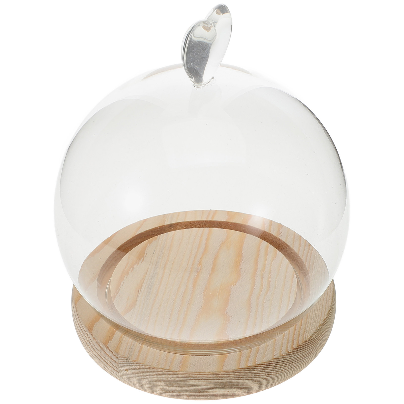1Set Glass Dome Cloche Heart S - Plastic Dome Clear 리뷰 및 가격