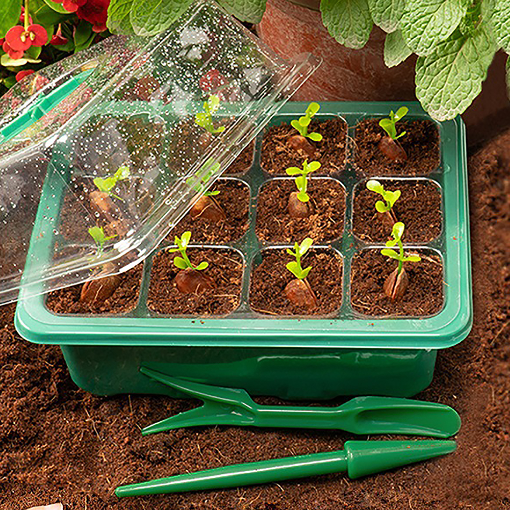 Seed Starter Trays with Grow L - Humidity Dome Kit 리뷰 및 가격