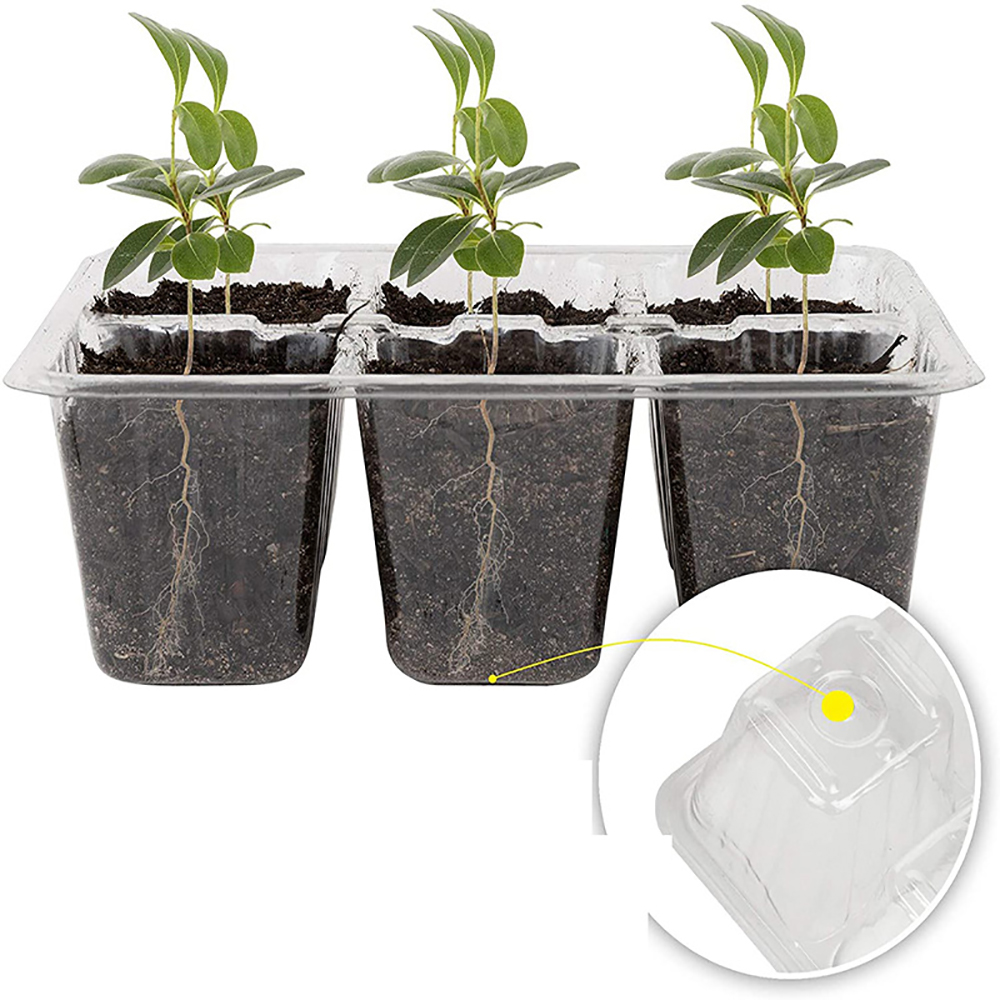 Seed Starter Trays with Grow L - Humidity Dome Kit 리뷰 및 가격