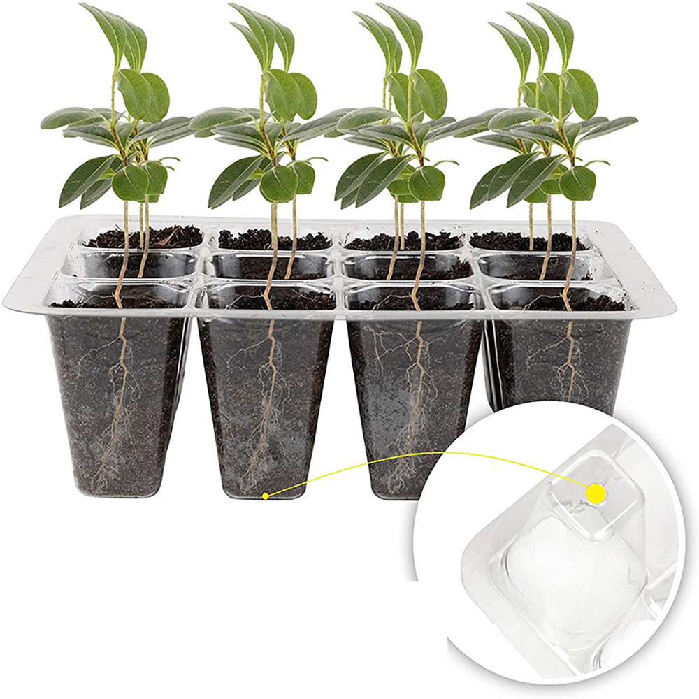 Seed Starter Trays with Grow L - Humidity Dome Kit 리뷰 및 가격
