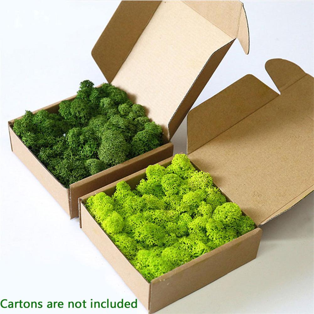 Artificial Plant Eternal Life  - Sphagnum Moss Dry 리뷰 및 가격