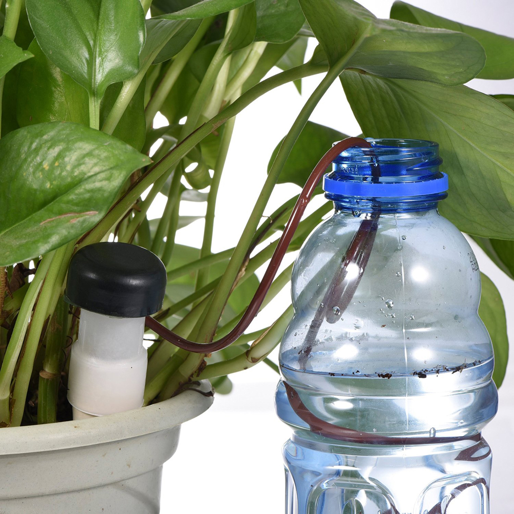 8-24Pcs Self-Watering Probes A - Self Watering Insert 리뷰 및 가격