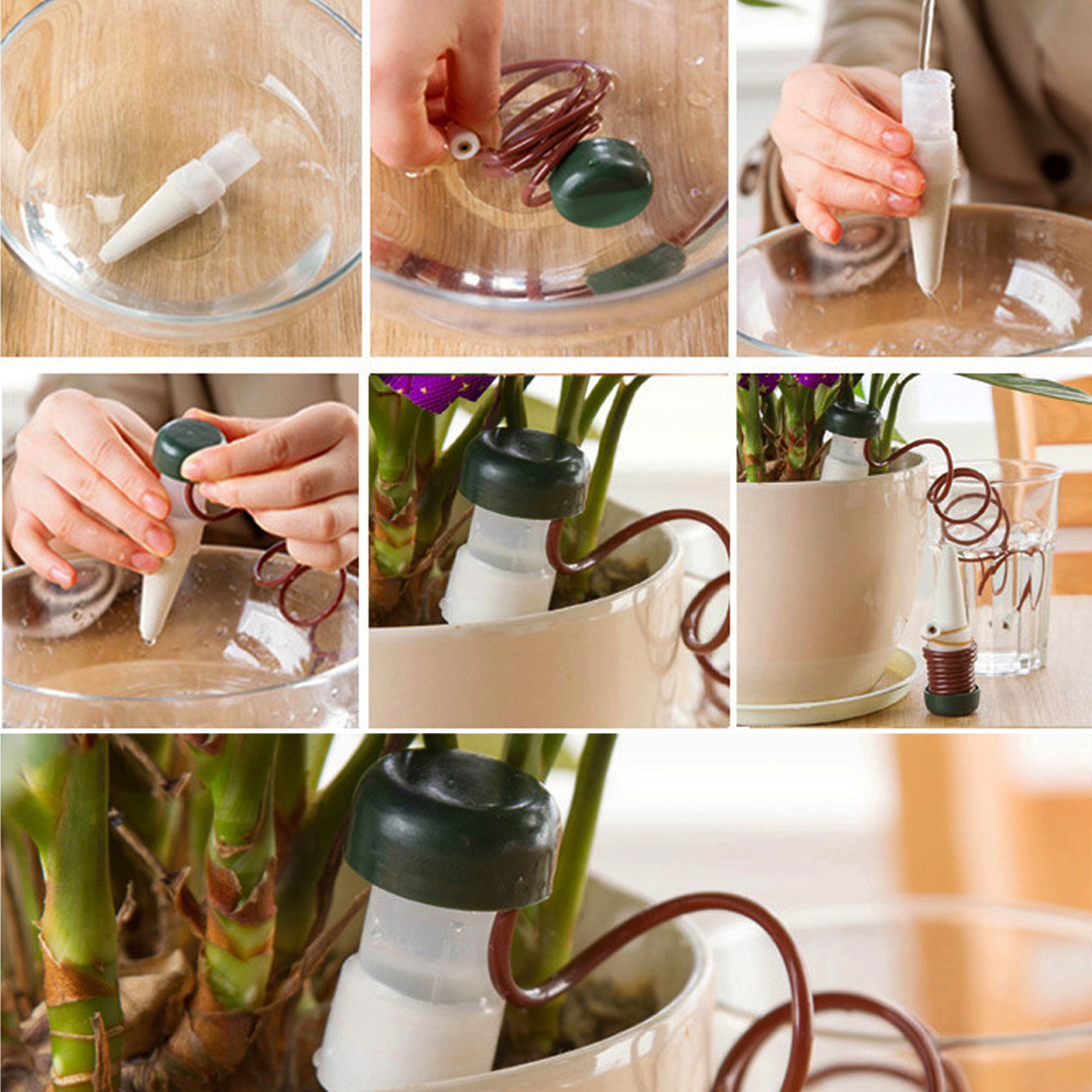 8-24Pcs Self-Watering Probes A - Self Watering Insert 리뷰 및 가격