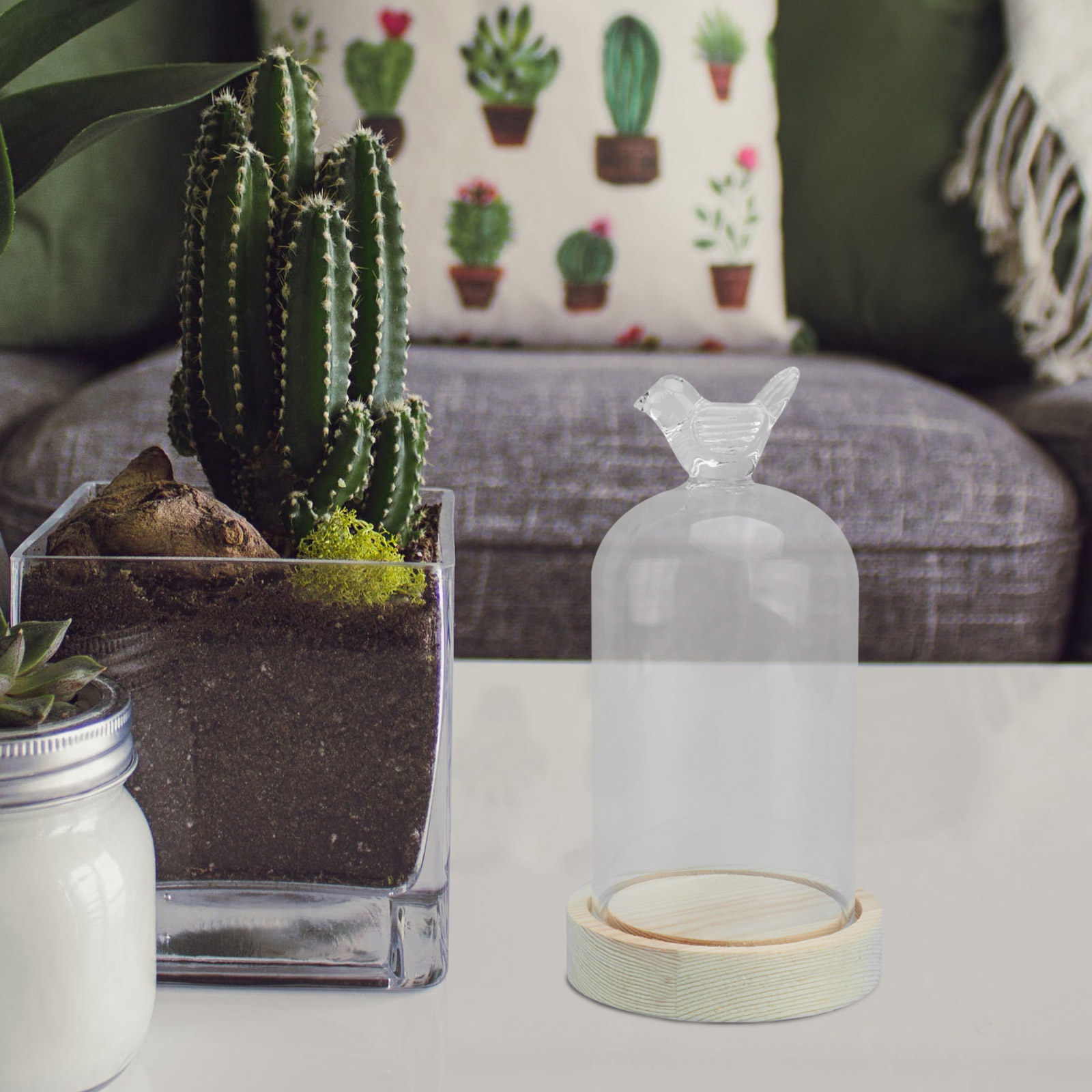 1Pcs Glass Display Cover Clear - Plastic Dome Clear 리뷰 및 가격