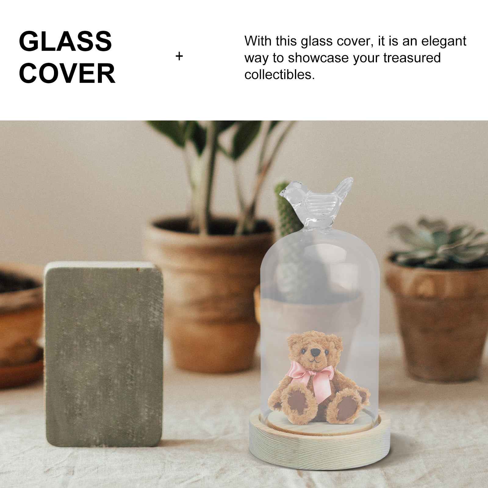 1Pcs Glass Display Cover Clear - Plastic Dome Clear 리뷰 및 가격