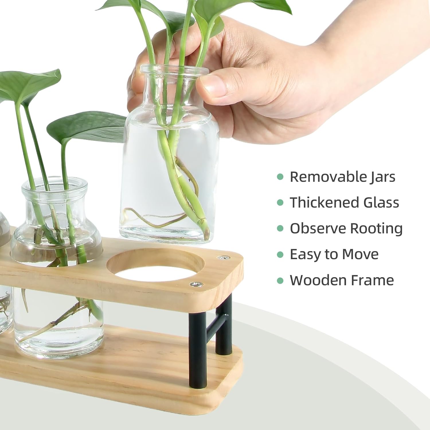 Propagation Station with Woode - Propagation Station Vase 리뷰 및 가격