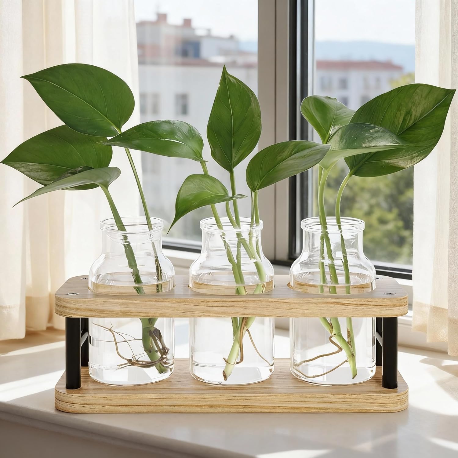 Propagation Station with Woode - Propagation Station Vase 리뷰 및 가격