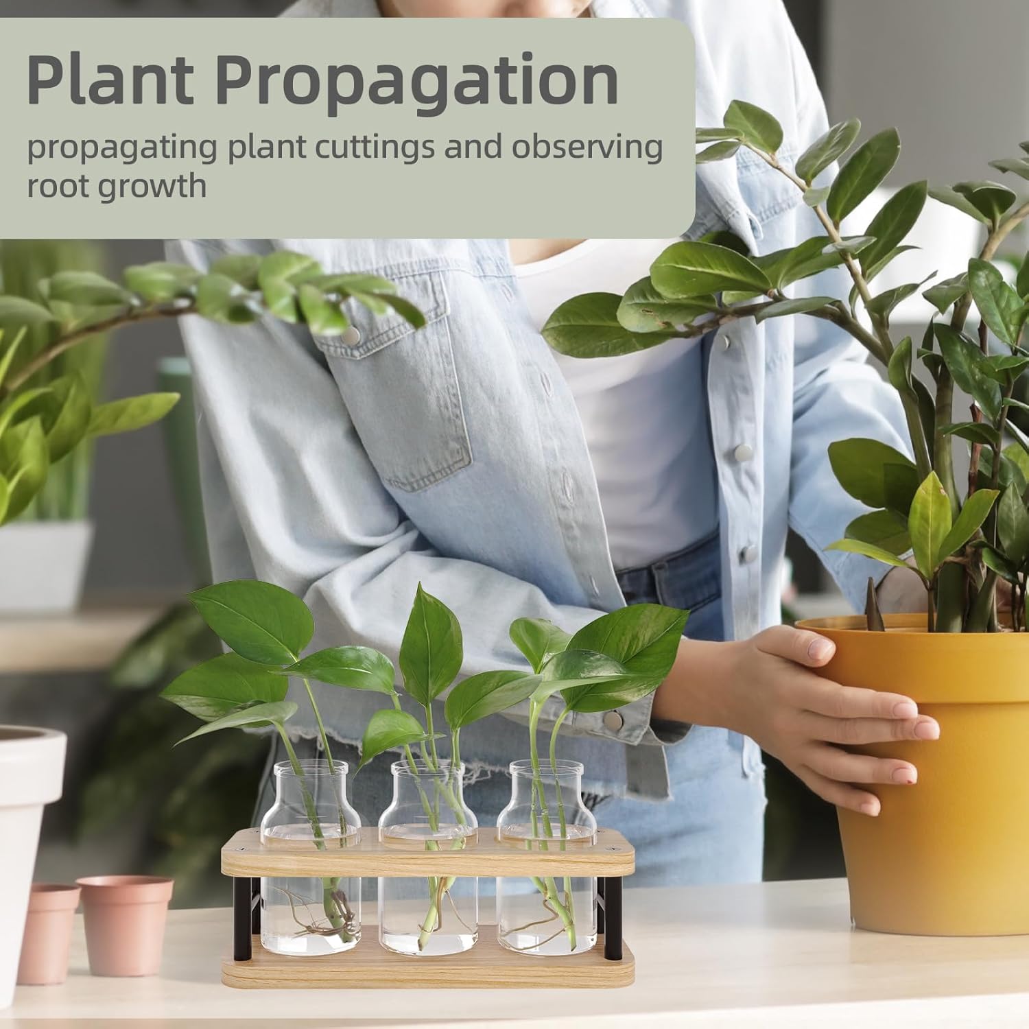 Propagation Station with Woode - Propagation Station Vase 리뷰 및 가격