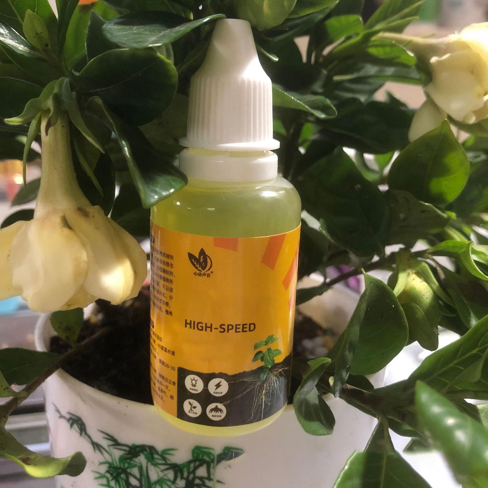 50ml Plant Rooting Stimulator  - Root Stimulator Liquid 리뷰 및 가격