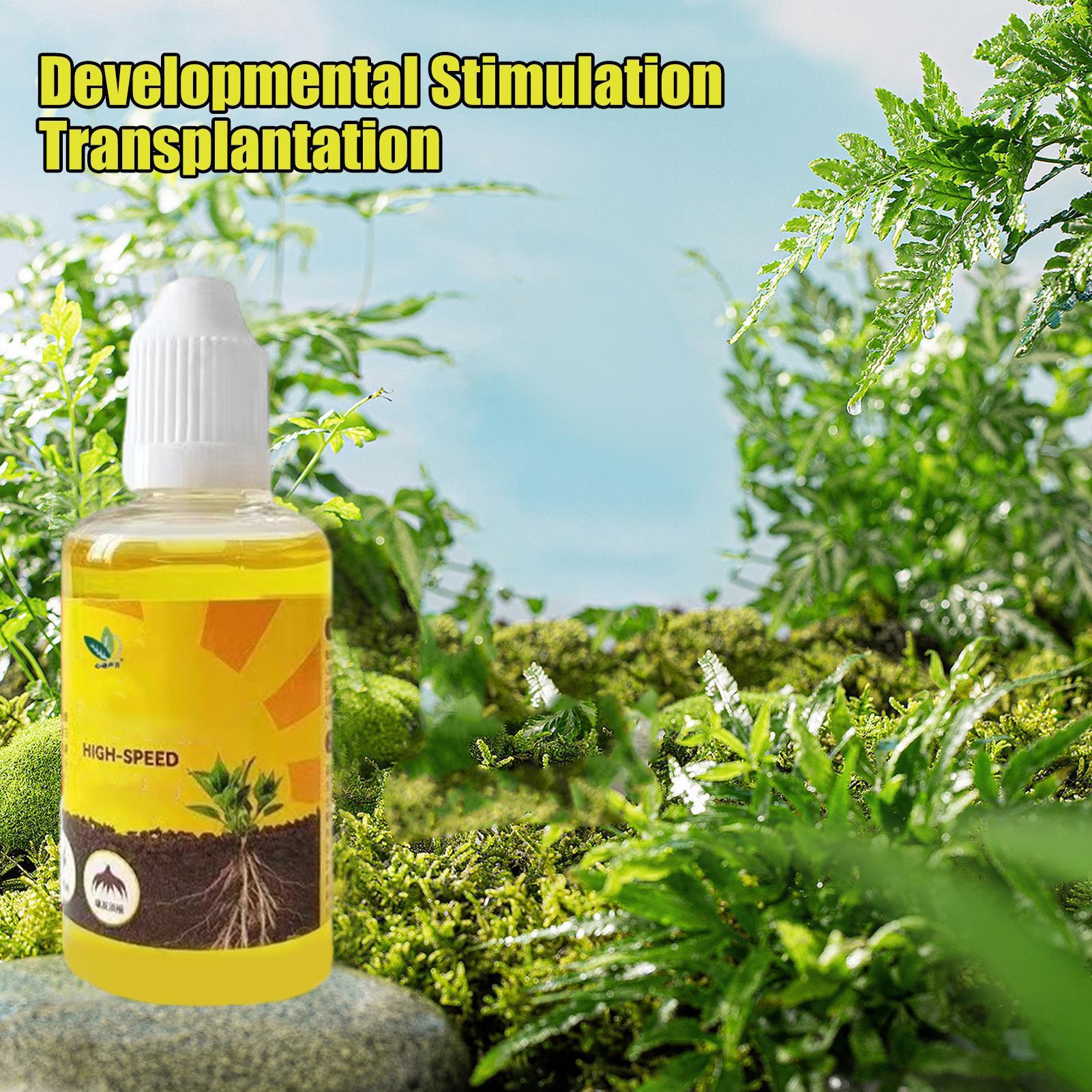 50ml Plant Rooting Stimulator  - Root Stimulator Liquid 리뷰 및 가격