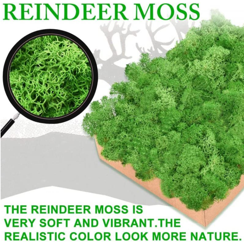 New 50/30/10g Artificial Green - Sphagnum Moss Dry 리뷰 및 가격