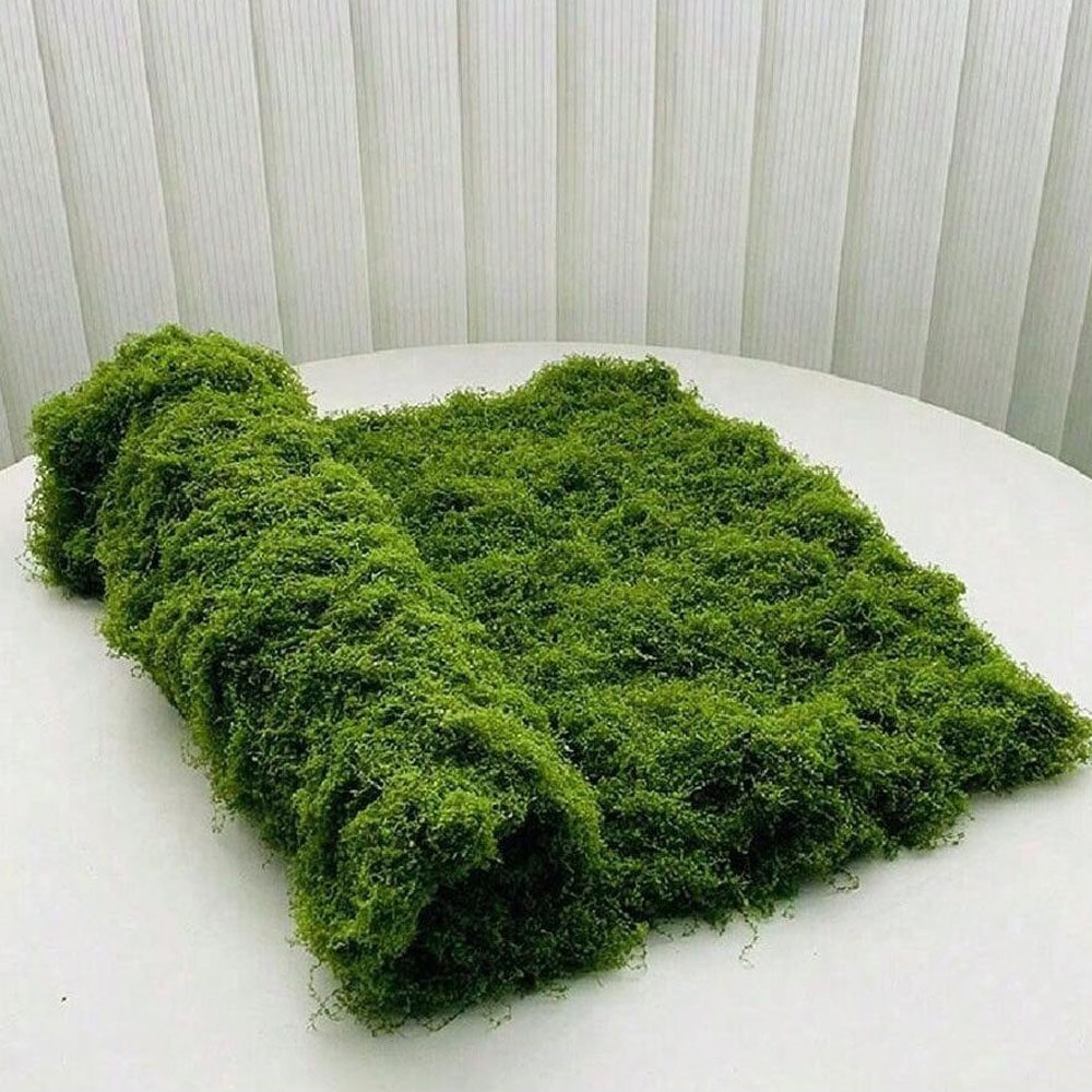 1*1m Fake Moss DIY Crafts Gras - Sphagnum Moss Dry 리뷰 및 가격