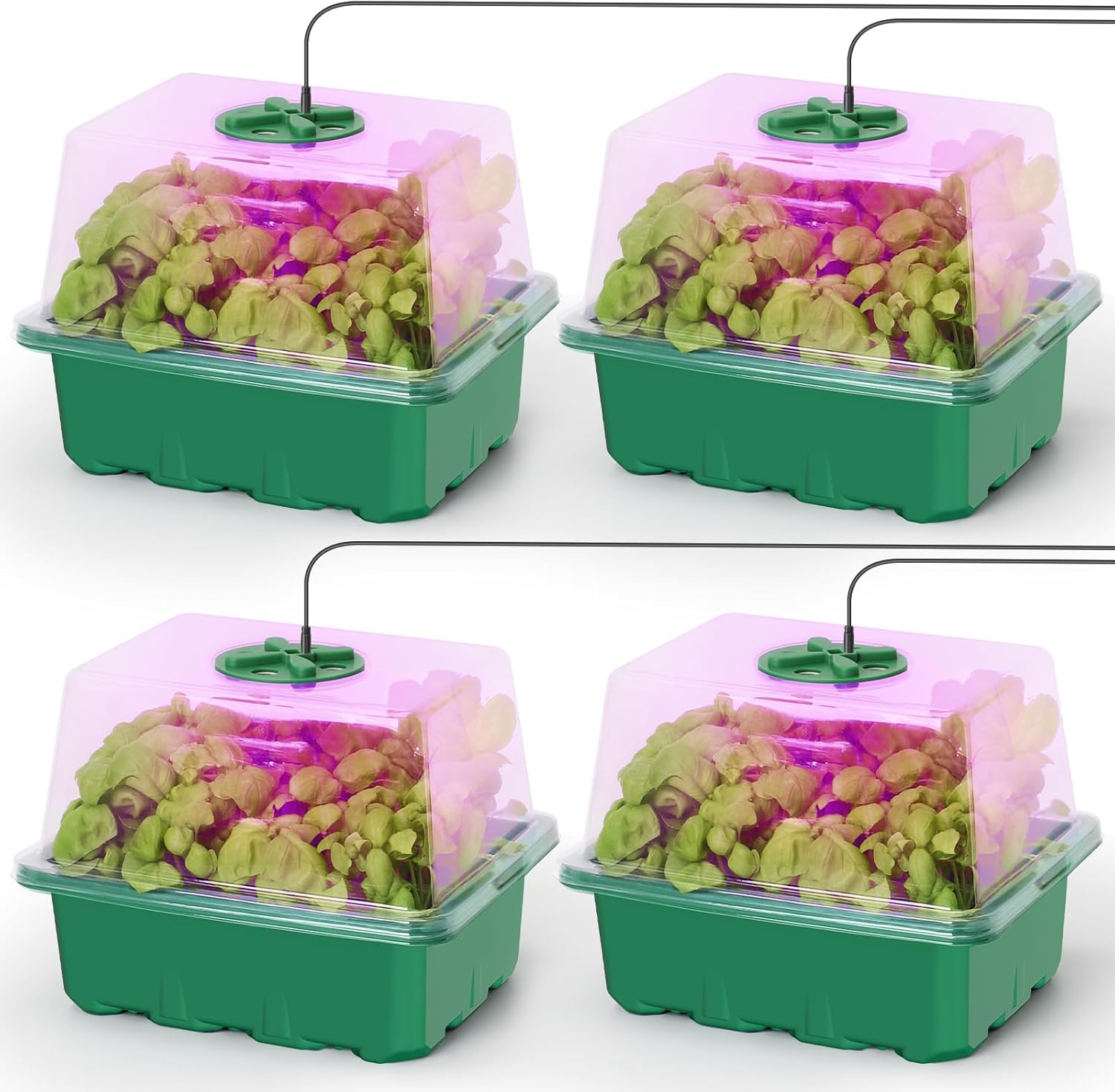 Seed Starter Kit with Grow Lig - Humidity Dome Kit 리뷰 및 가격