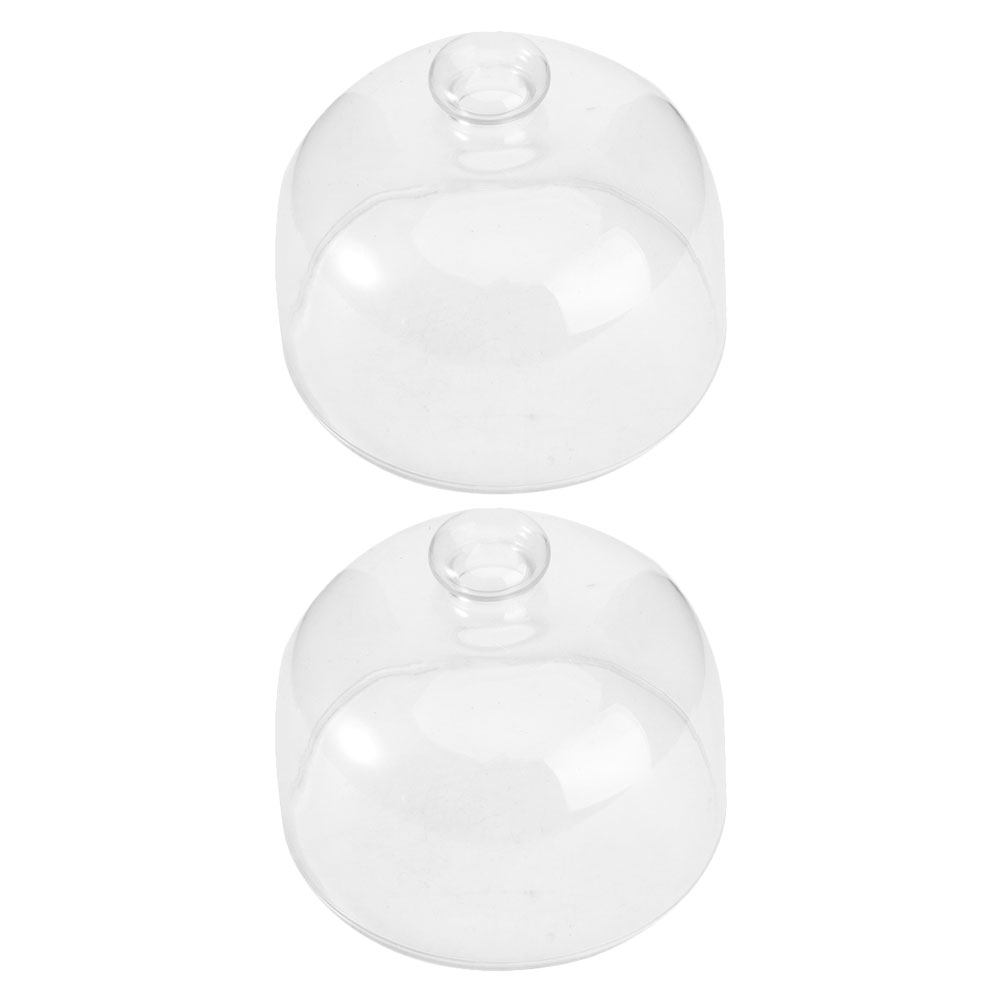 2Pcs Transparent Glass Cake Do - Plastic Dome Clear 리뷰 및 가격