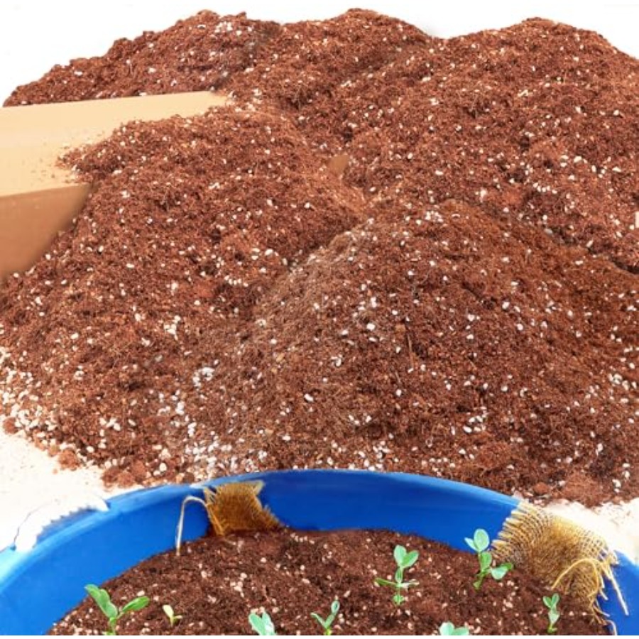 2 Mix for Indoor Plants - Cont - Coco Perlite Mix 리뷰 및 가격