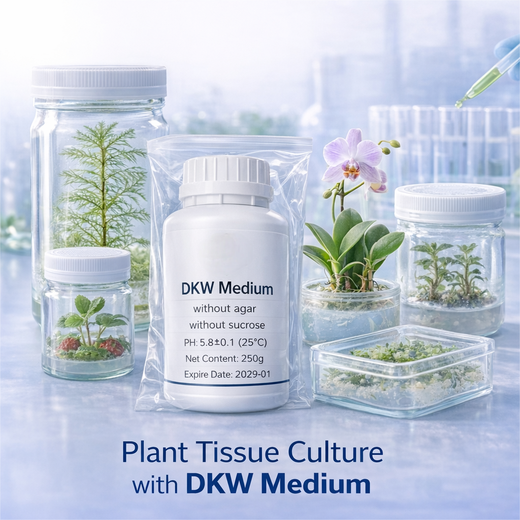 DKW Medium Plant Tissue Cultur - Agar Tissue Culture 리뷰 및 가격