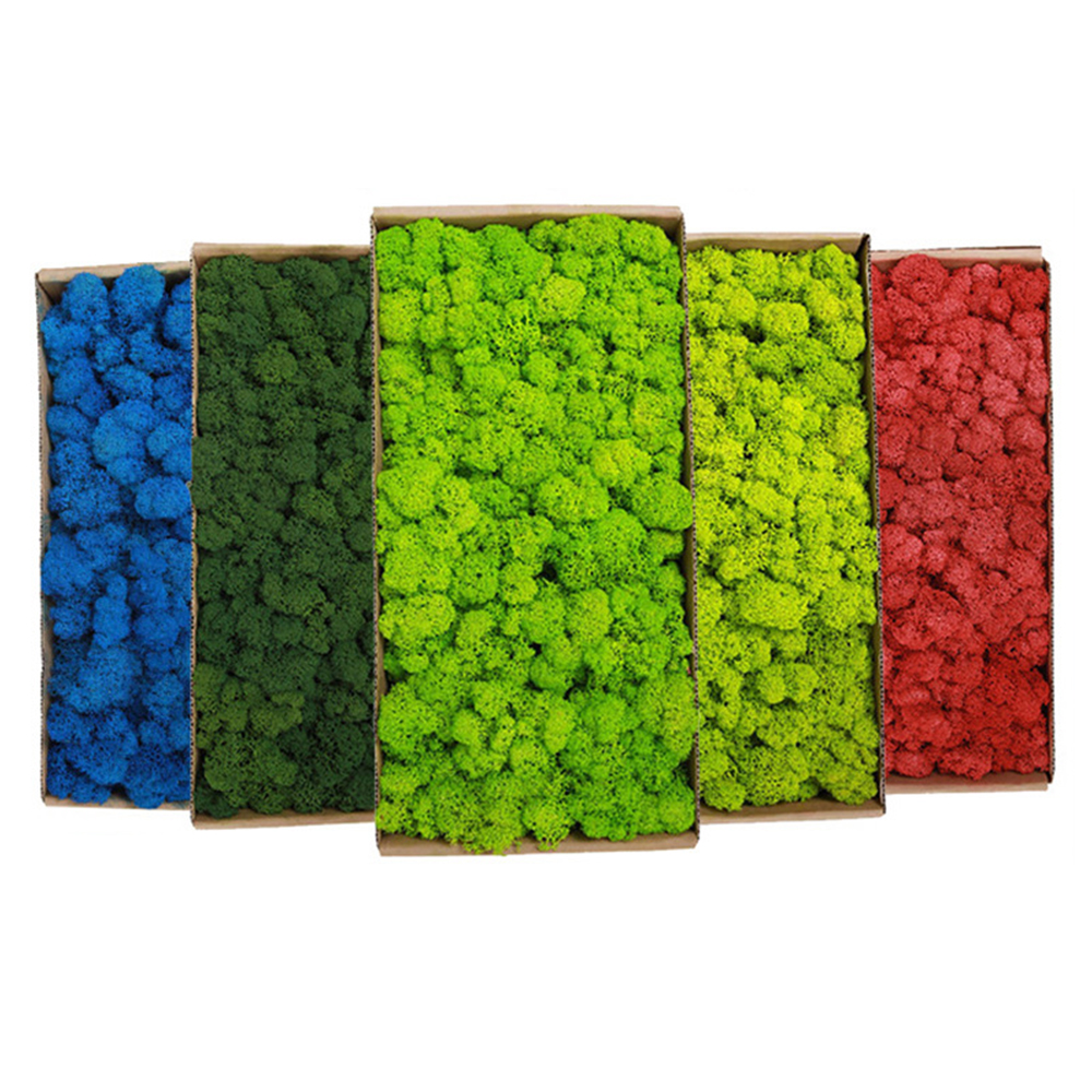 200g Artificial Green Plants M - Sphagnum Moss Dry 리뷰 및 가격