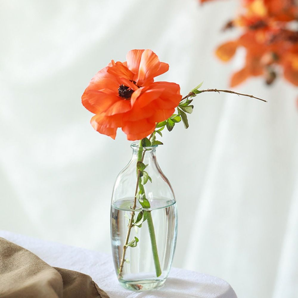 Fashion Retro Flower Vase Glas - Propagation Station Vase 리뷰 및 가격
