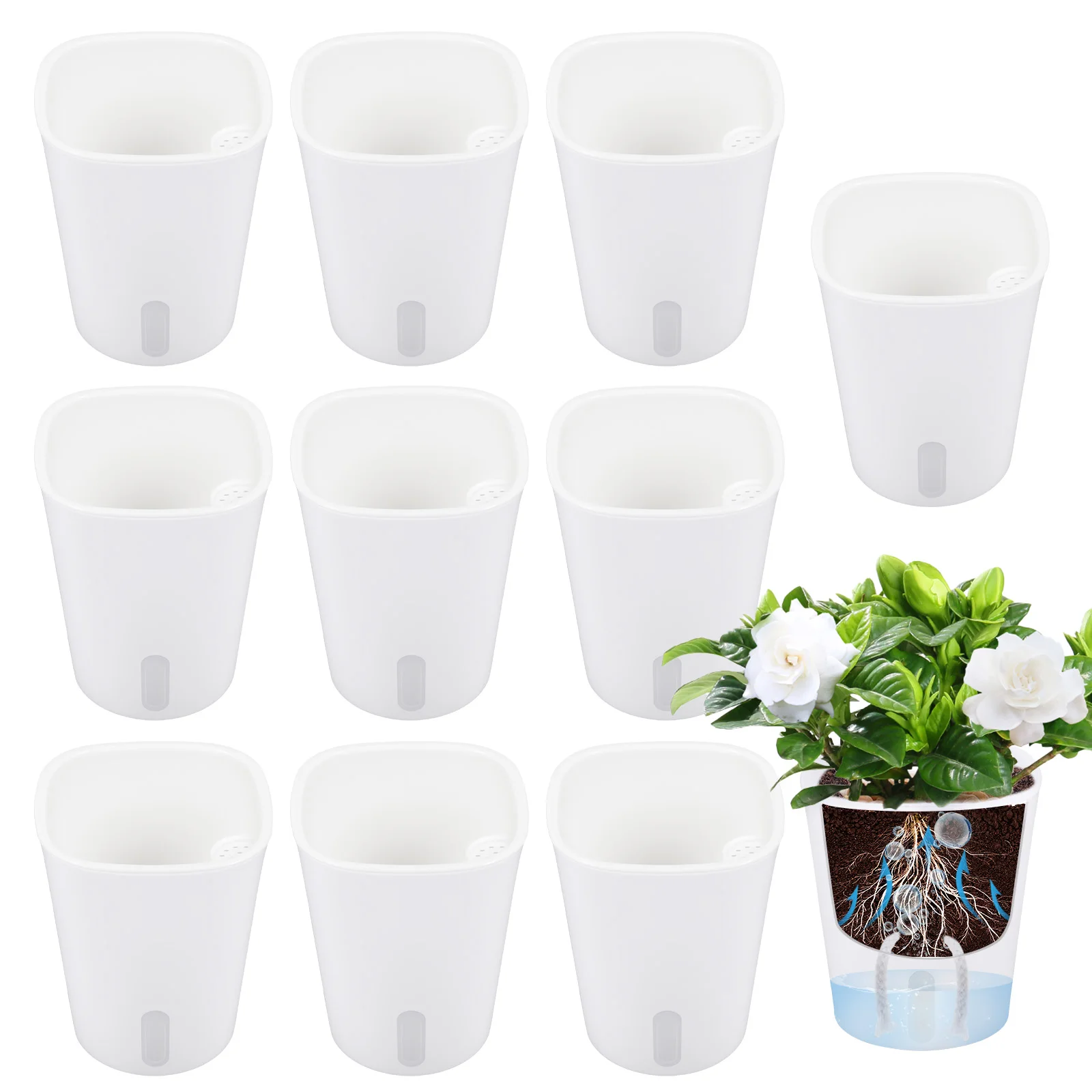 10 Pcs Self Watering Planter L - Self Watering Insert 리뷰 및 가격
