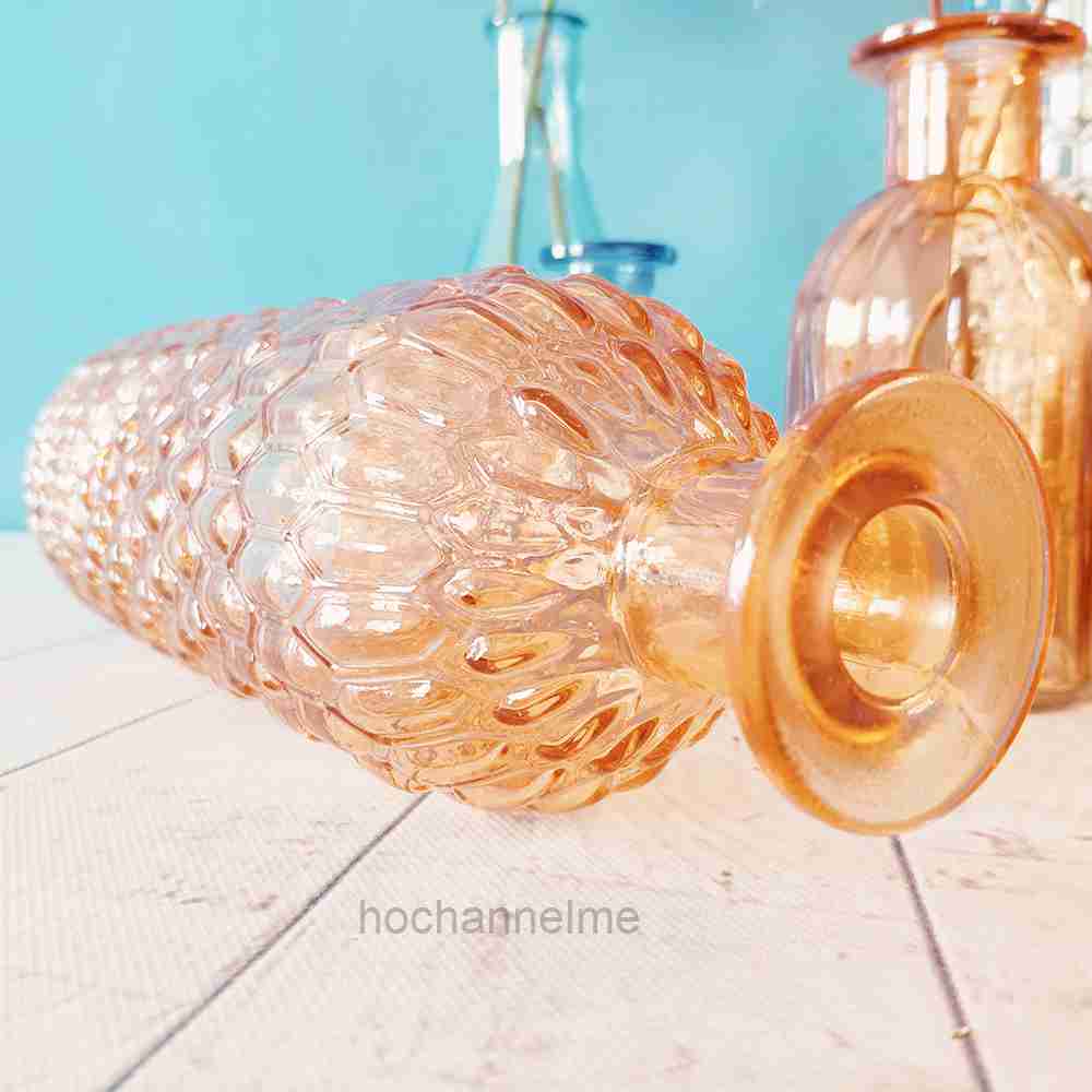 Glass Vase Living Room Decorat - Propagation Station Vase 리뷰 및 가격