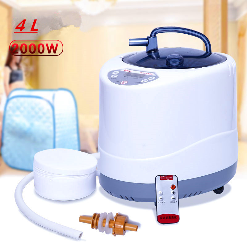 Steam Generator 220V/110V  EU  - Self Watering Insert 리뷰 및 가격