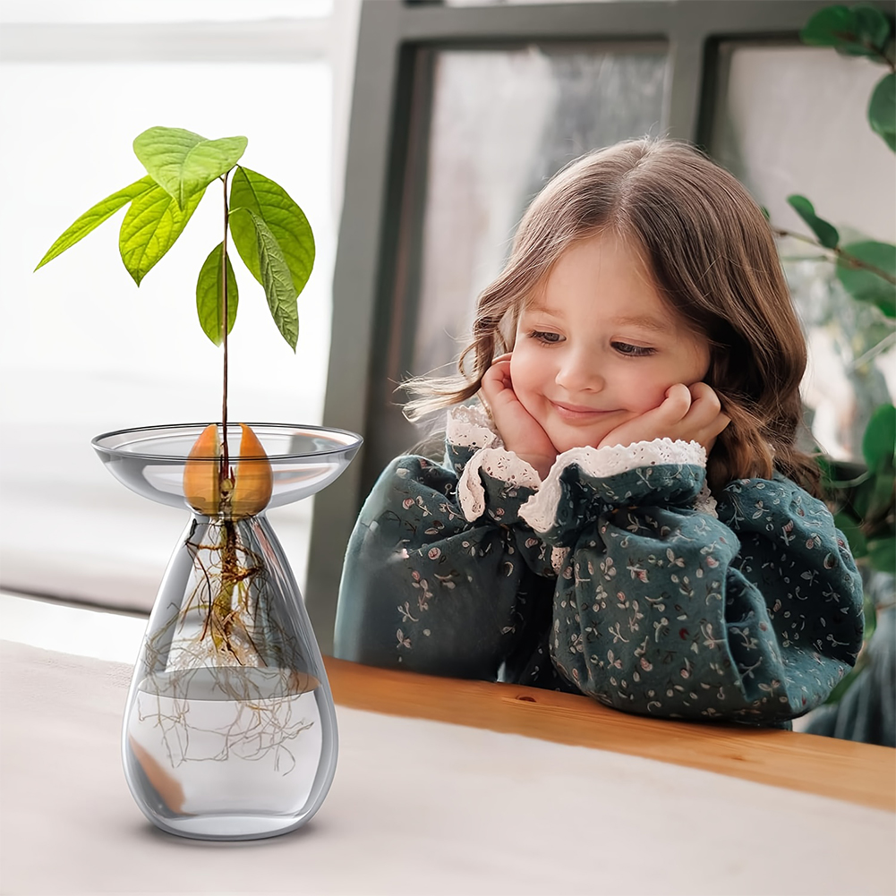 Avocado Seed Starter Vase Tran - Propagation Station Vase 리뷰 및 가격