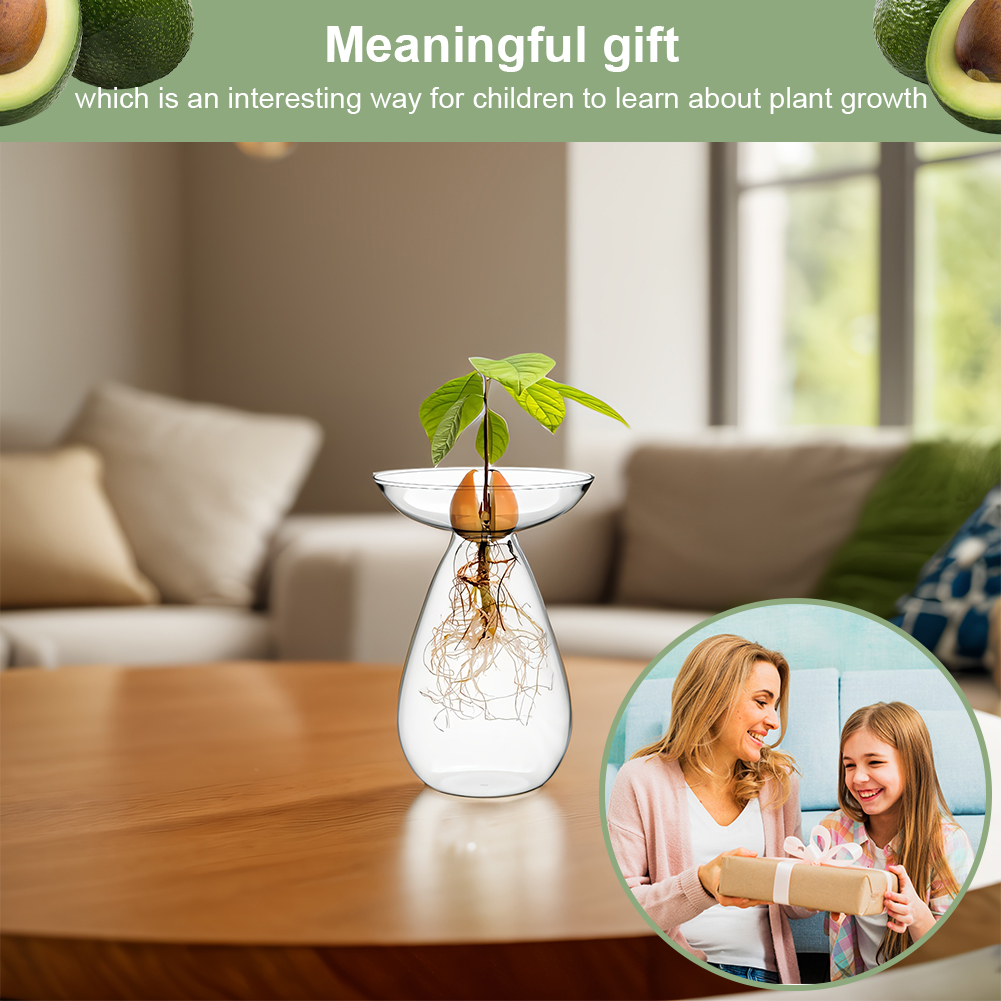 Avocado Seed Starter Vase Tran - Propagation Station Vase 리뷰 및 가격