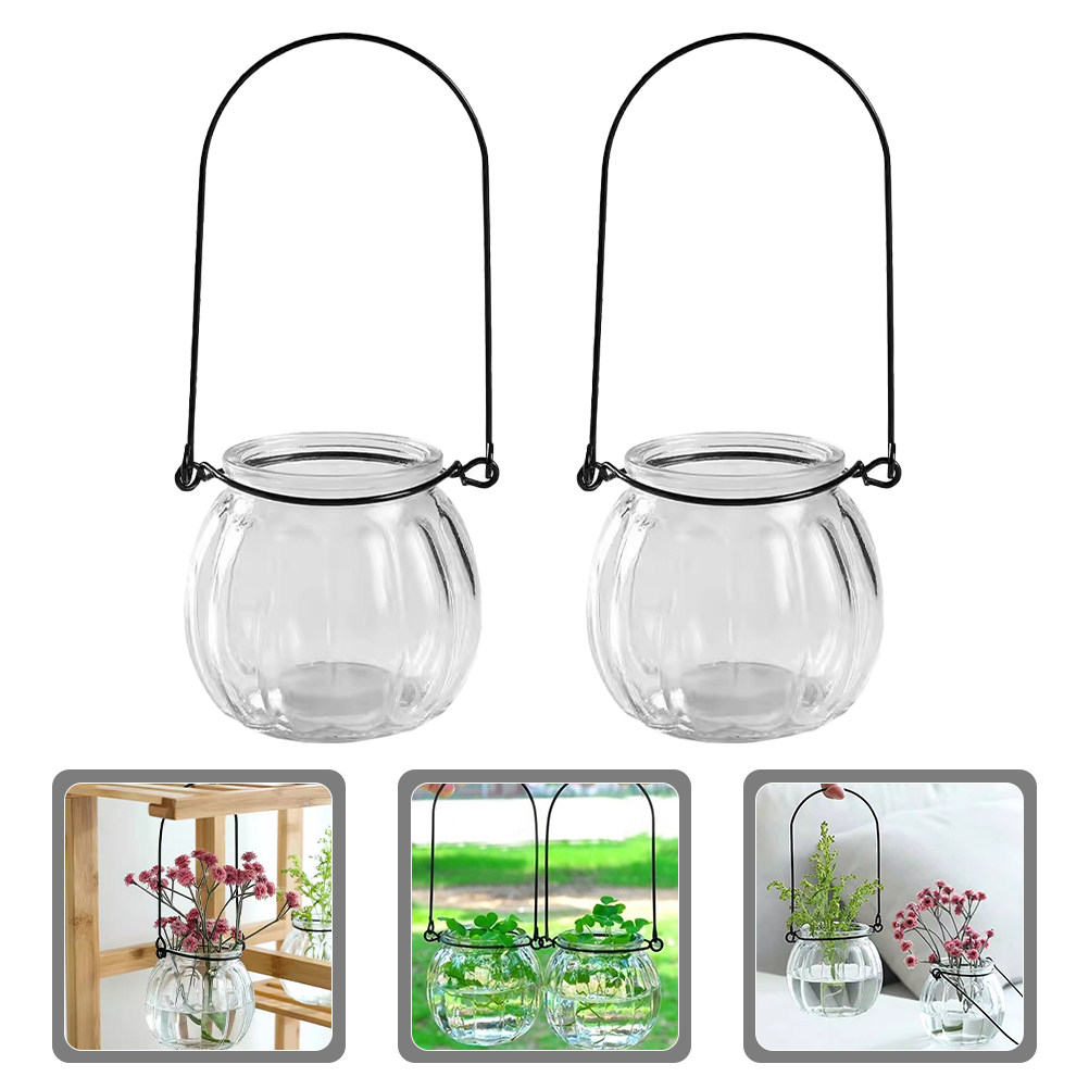 6Pcs Clear Glass Wall Planters - Propagation Station Vase 리뷰 및 가격