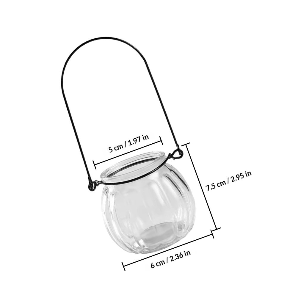 6Pcs Clear Glass Wall Planters - Propagation Station Vase 리뷰 및 가격