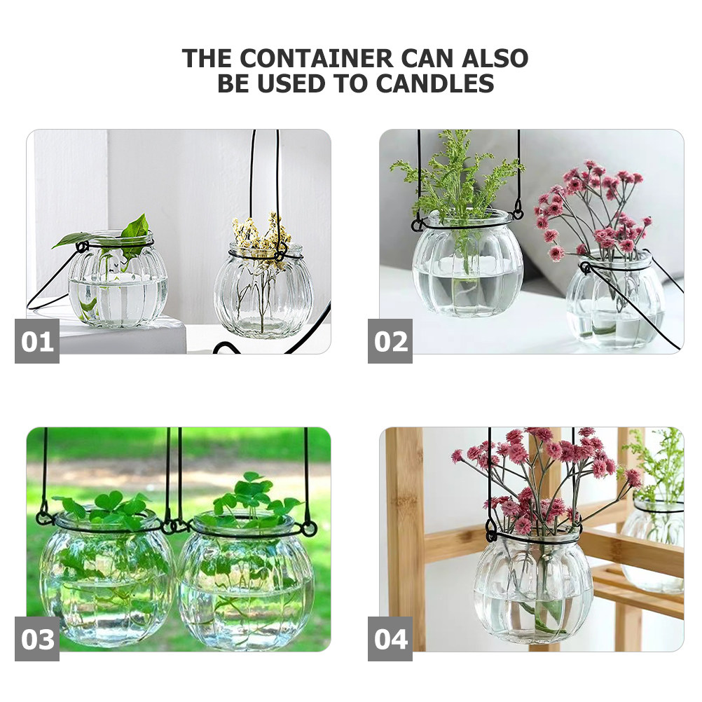 6Pcs Clear Glass Wall Planters - Propagation Station Vase 리뷰 및 가격