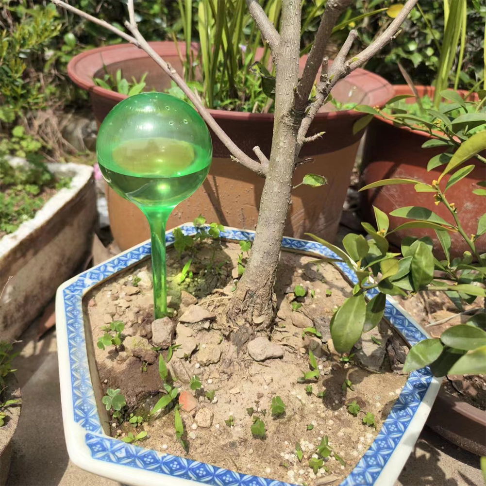 Automatic Plant Watering Bulbs - Self Watering Insert 리뷰 및 가격