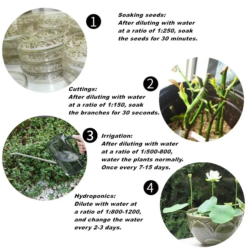 10g Quickly Rooting Powder Hor - Rooting Hormone Powder 리뷰 및 가격