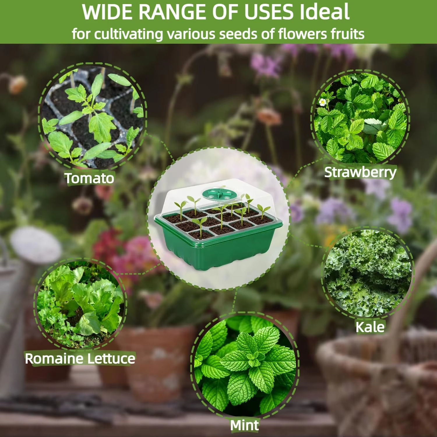 3Pcs Seed Starter Tray Mini Gr - Humidity Dome Kit 리뷰 및 가격