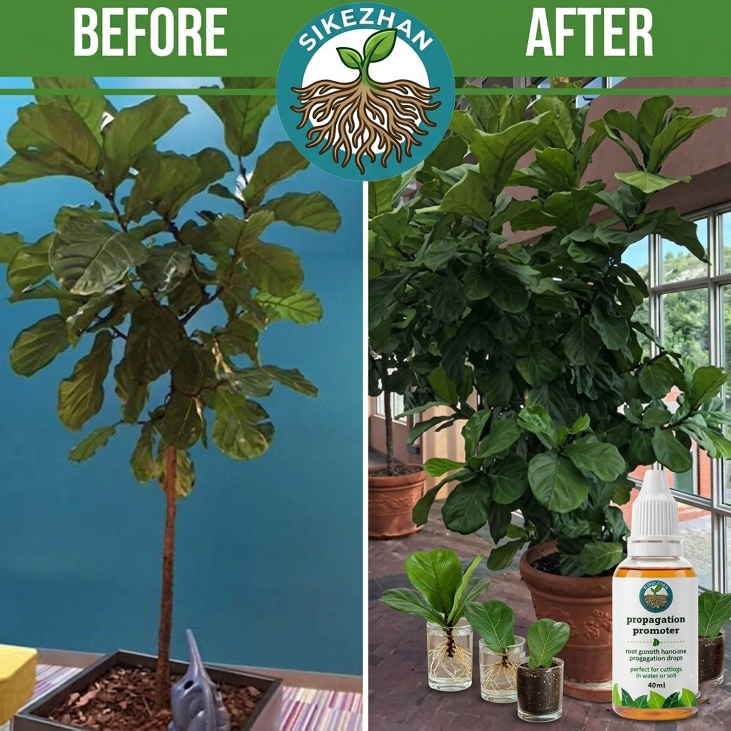 40ml Fast Plant Rooting Liquid - Root Stimulator Liquid 리뷰 및 가격